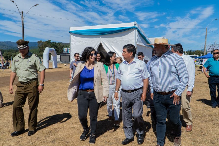 Evento Fagaf en Cañete confirma recuperación del turismo en la provincia de Arauco