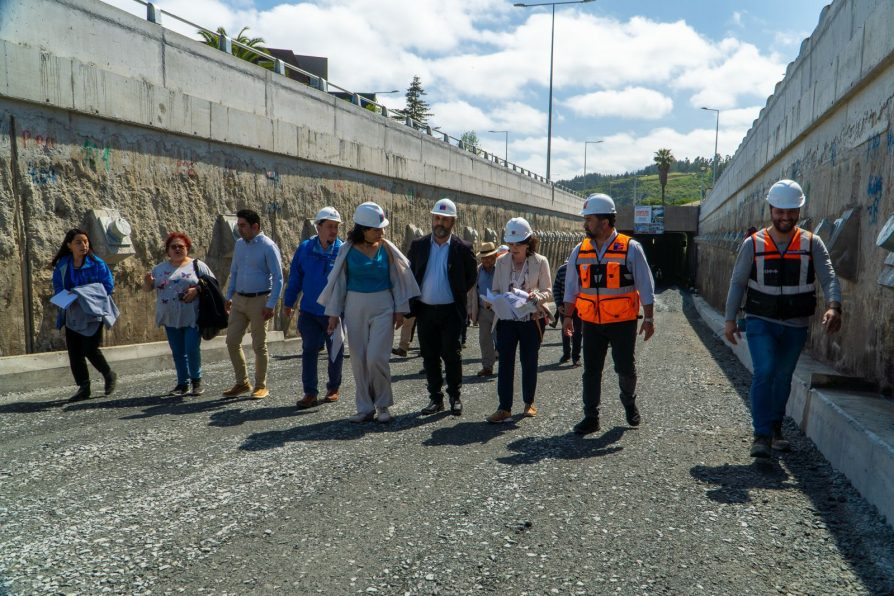 Gobierno adelantará para febrero paso bajo nivel Los Carrera de proyecto Par Vial Collao-Novoa