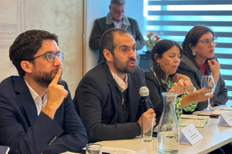 Plan de Fortalecimiento Industrial avanza con foco en planes logísticos, forestal y empleo regional