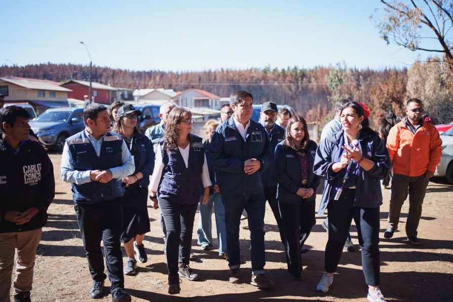 Gobierno reporta avance de ayudas tempranas junto a despliegue de servicios públicos en el Biobío