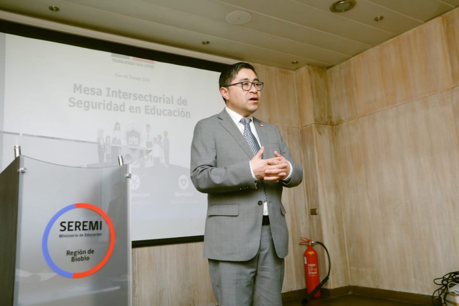 Delegado Julio Anativia y Seremi Teresa Carrasco Presentaron Trabajo Intersectorial 2026 ante la Mesa Regional de Seguridad Escolar y Parvularia