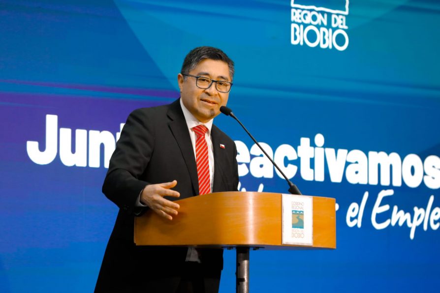 Delegación Presidencial Regional del Biobío junto al GORE Biobío: Plan Estratégico “Juntos Reactivamos Biobío”