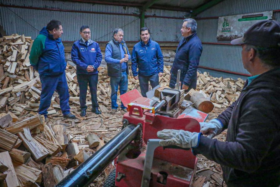 Delegado Presidencial Julio Anativia llama a preferir leña seca y de origen legal para una calefacción más eficiente y menos contaminante